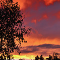 Fire In The Sky 2