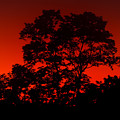 Fire In The Sky
